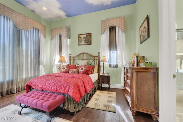 bedroom featuring multiple windows and wood-type flooring