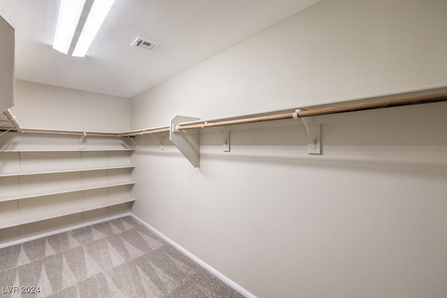 spacious closet featuring carpet floors