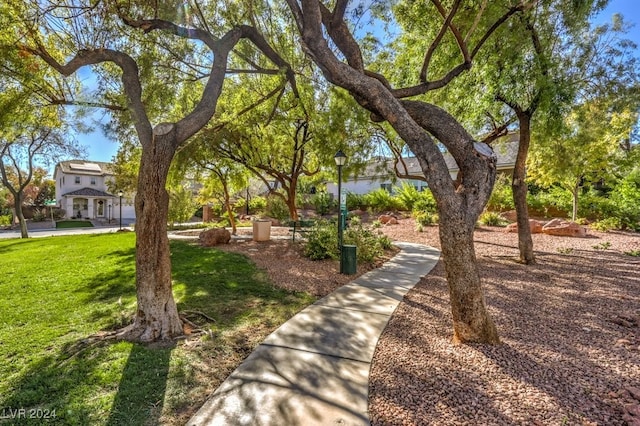 view of property's community with a lawn