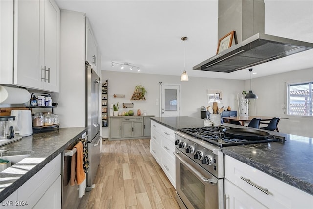 kitchen with high end appliances, light hardwood / wood-style flooring, white cabinets, island exhaust hood, and pendant lighting