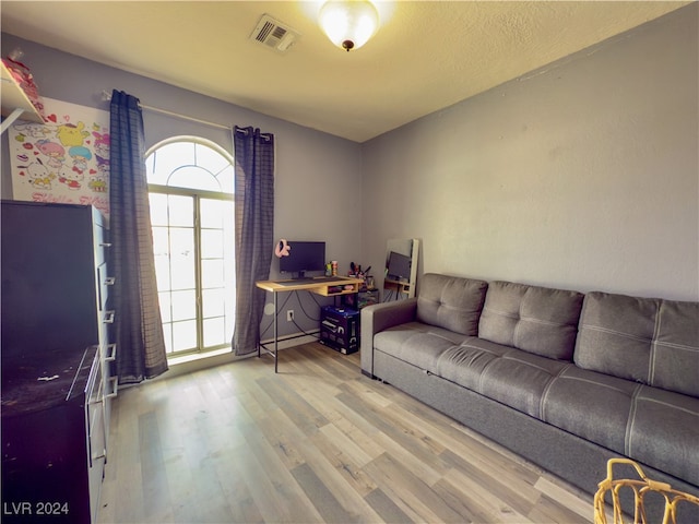 living room featuring hardwood / wood-style flooring