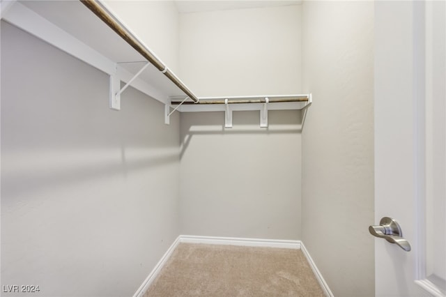 walk in closet featuring carpet