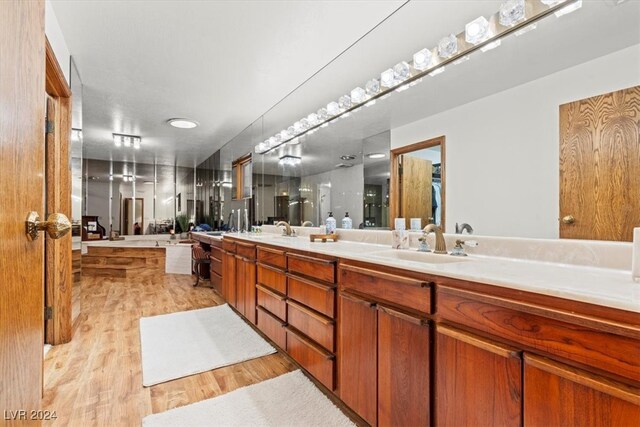 bathroom featuring a washtub, vanity, and hardwood / wood-style floors