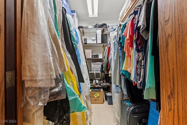 walk in closet featuring carpet