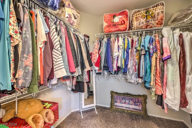 spacious closet featuring carpet