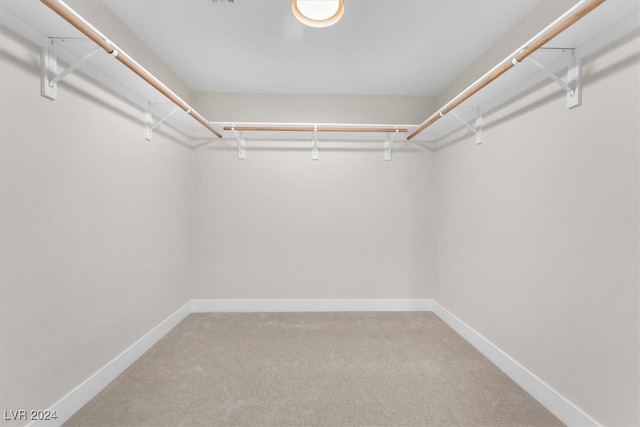 walk in closet with carpet