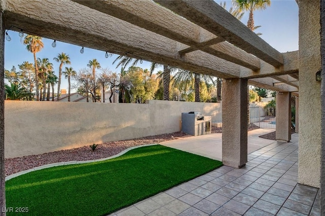 view of yard with a patio