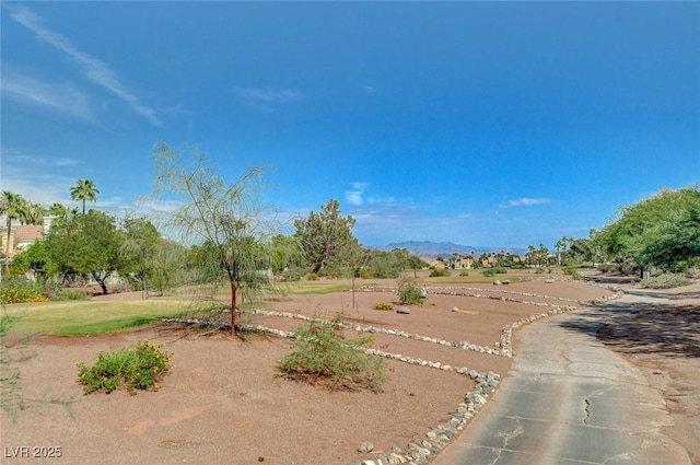 view of yard with a mountain view