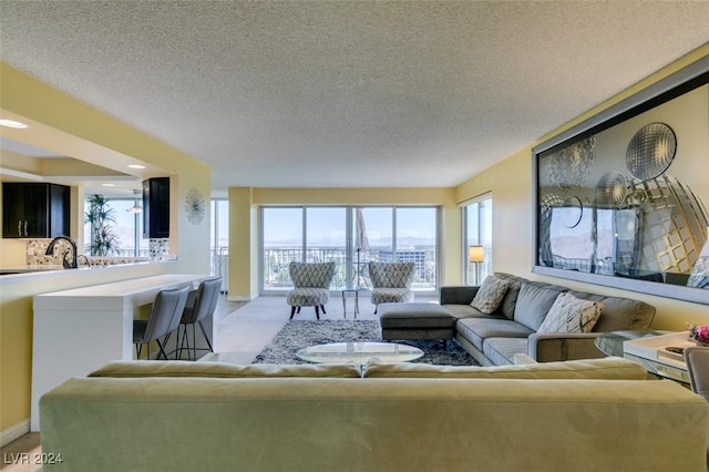 living room with sink, a textured ceiling, and light carpet