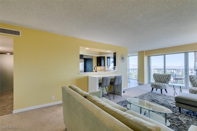 carpeted living room with sink and a textured ceiling