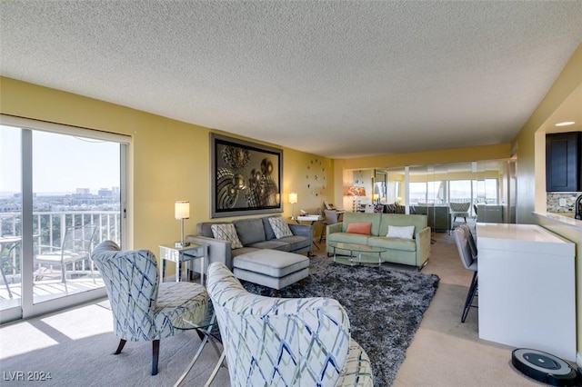 carpeted living room featuring a textured ceiling