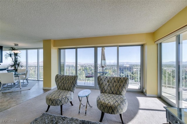 living room featuring carpet floors and a textured ceiling