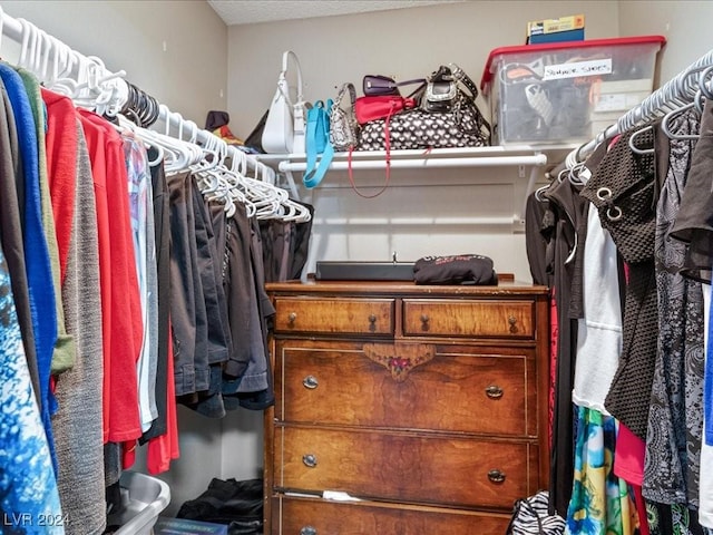 view of walk in closet