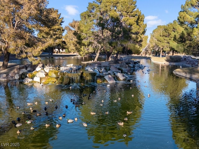 view of water feature