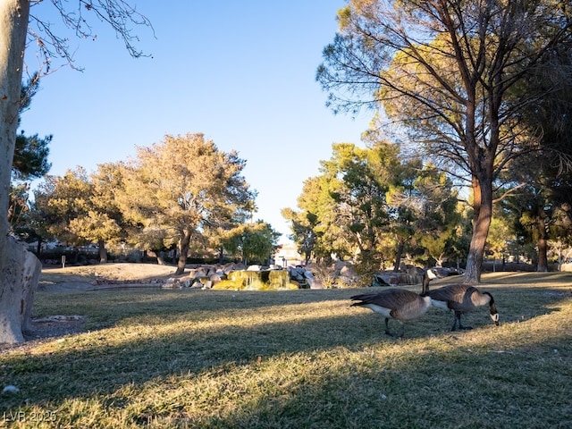 view of property's community with a lawn