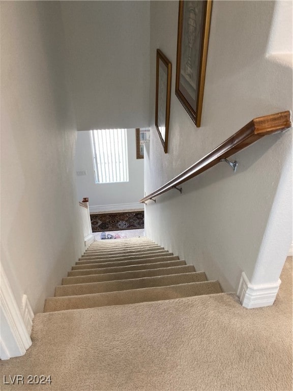 staircase featuring carpet flooring