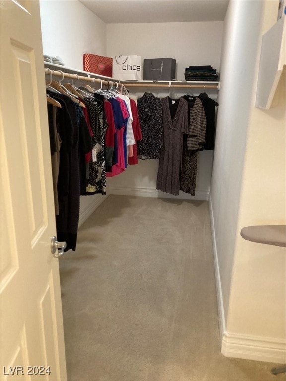 walk in closet with carpet floors