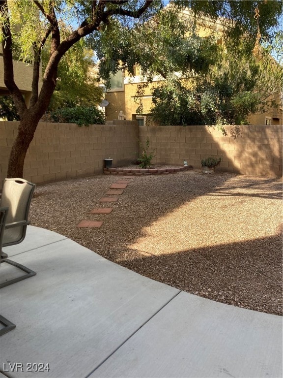 view of yard featuring a patio