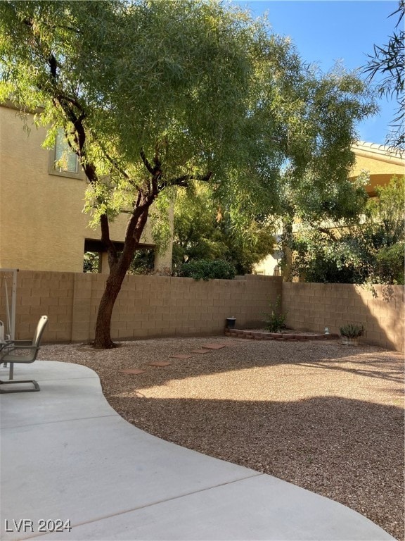 view of yard featuring a patio