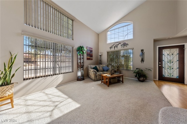 living room featuring carpet and high vaulted ceiling