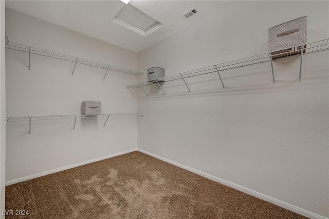 spacious closet with carpet flooring