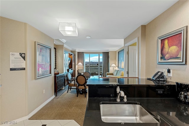 kitchen with light colored carpet and sink