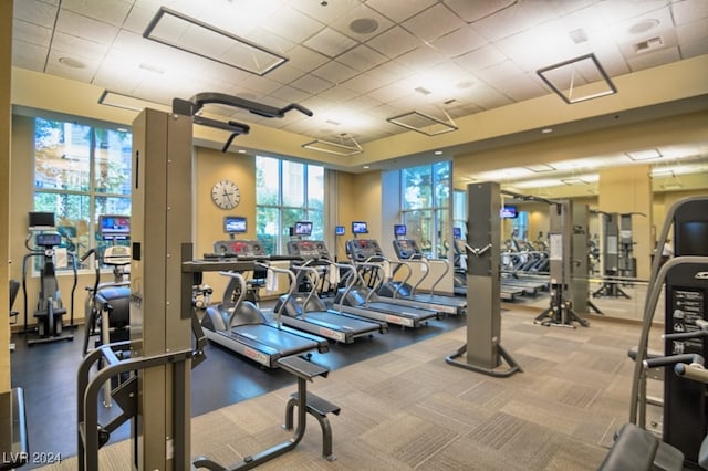 workout area featuring carpet