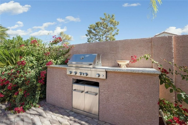 view of patio / terrace with area for grilling and a grill