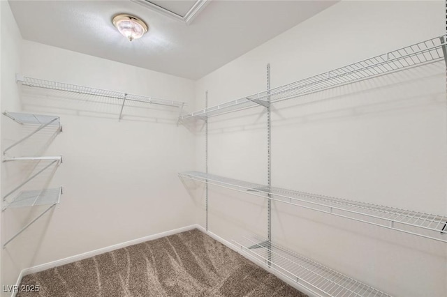 walk in closet featuring carpet