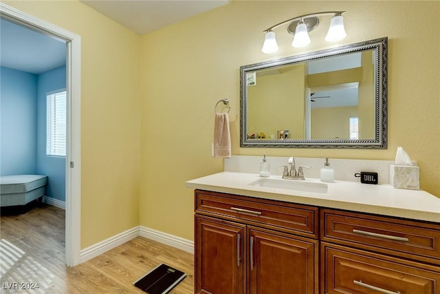 bathroom featuring vanity and wood-type flooring