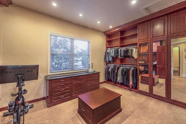 spacious closet with light carpet