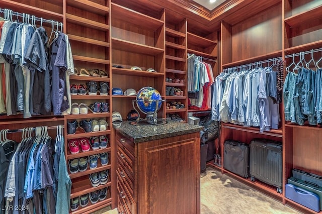 walk in closet with light colored carpet and radiator