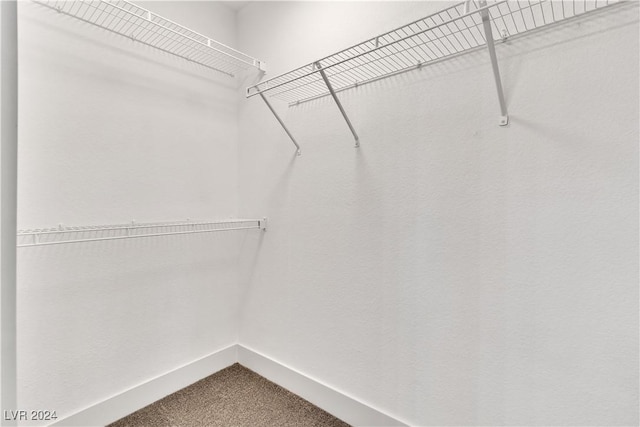 spacious closet with carpet