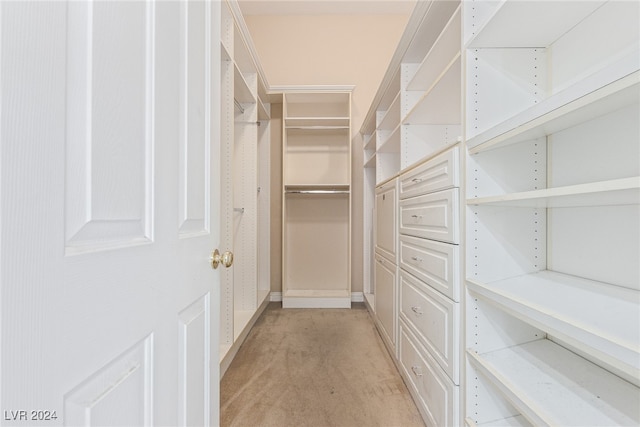 spacious closet featuring light carpet