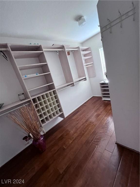 spacious closet with dark hardwood / wood-style floors