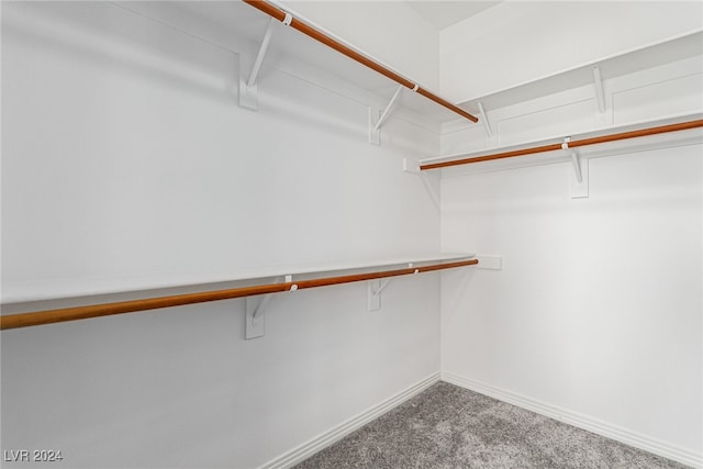 spacious closet with carpet