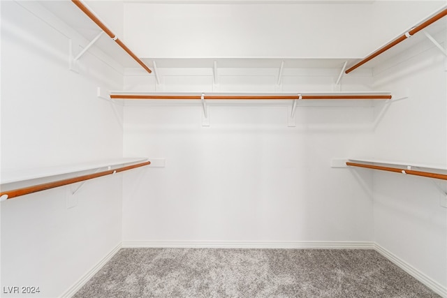 spacious closet with carpet