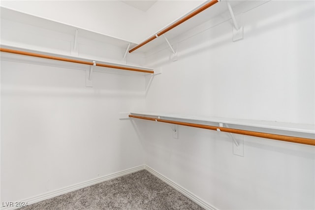 walk in closet with carpet flooring