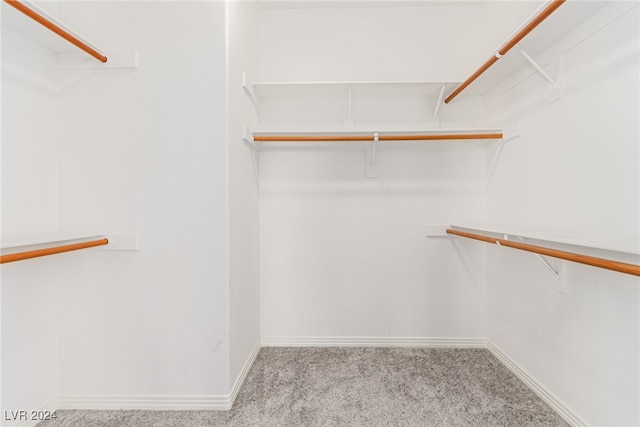 spacious closet with light colored carpet