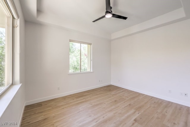 unfurnished room with a tray ceiling, a wealth of natural light, and light hardwood / wood-style flooring