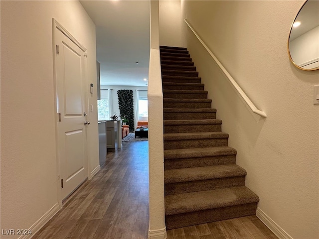 staircase with hardwood / wood-style flooring