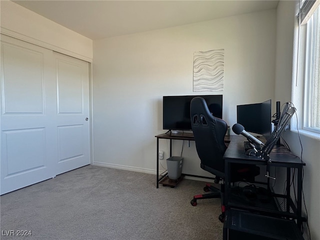 office featuring a wealth of natural light and carpet flooring