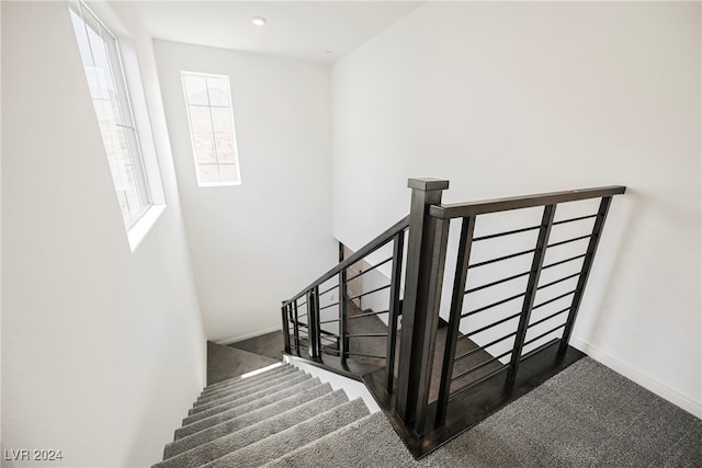 stairs featuring carpet