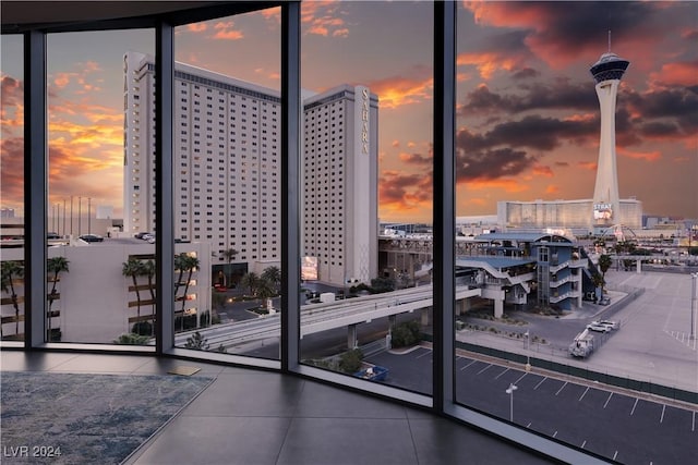 interior space with floor to ceiling windows