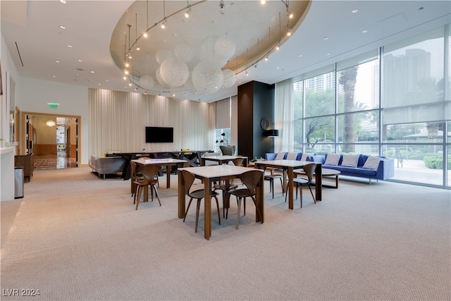 dining area featuring floor to ceiling windows, rail lighting, and light carpet