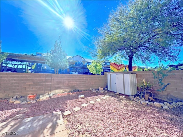 view of yard with a storage unit