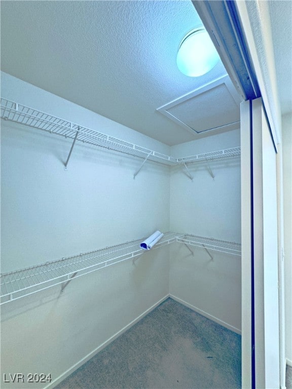 walk in closet with carpet floors