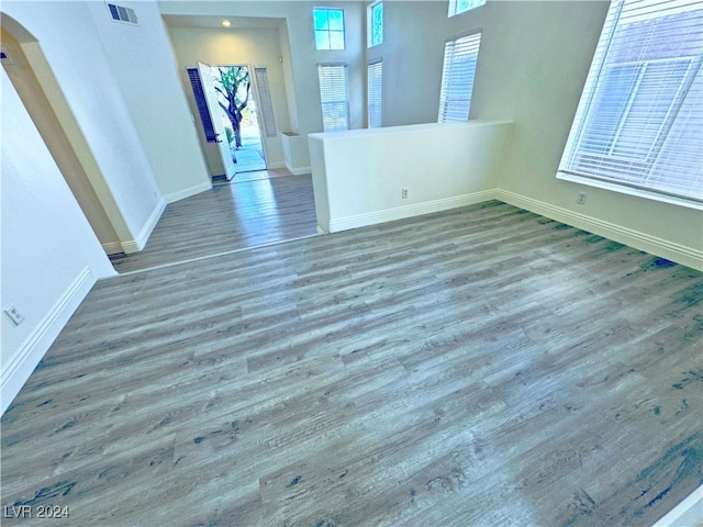 spare room featuring wood-type flooring