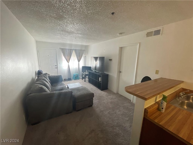 carpeted living room with sink and a textured ceiling