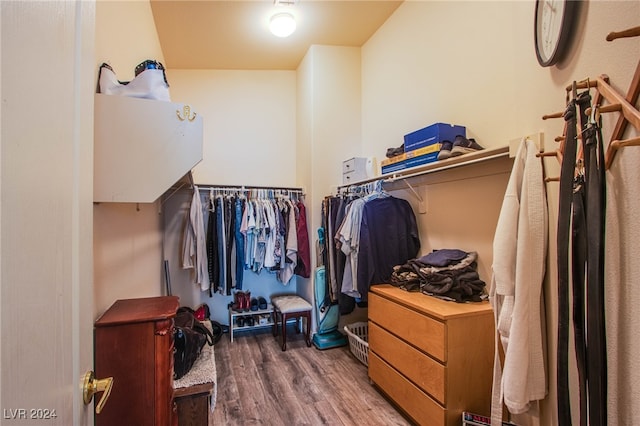 spacious closet with wood-type flooring